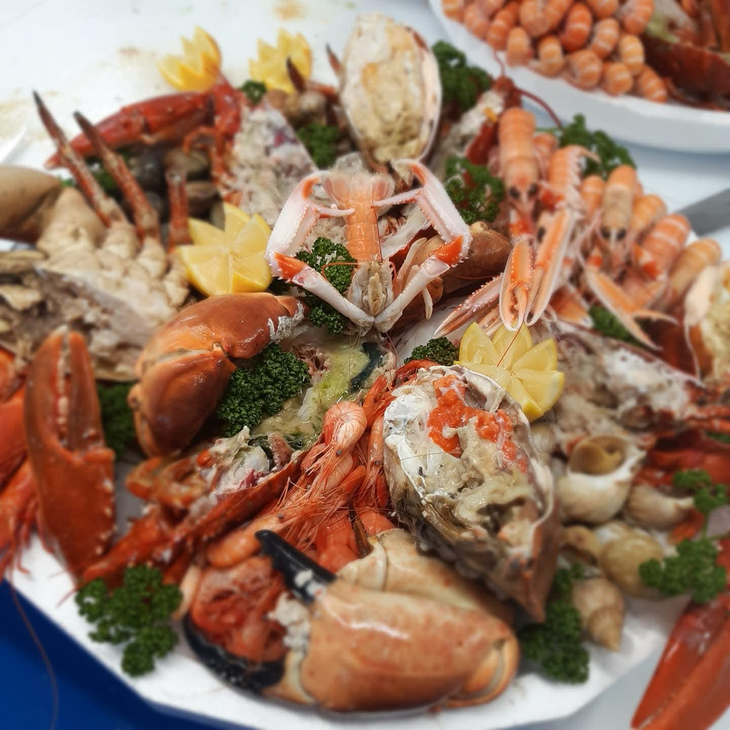 Plateau de fruits de mer avec huîtres, crevettes, bulots et tourteau